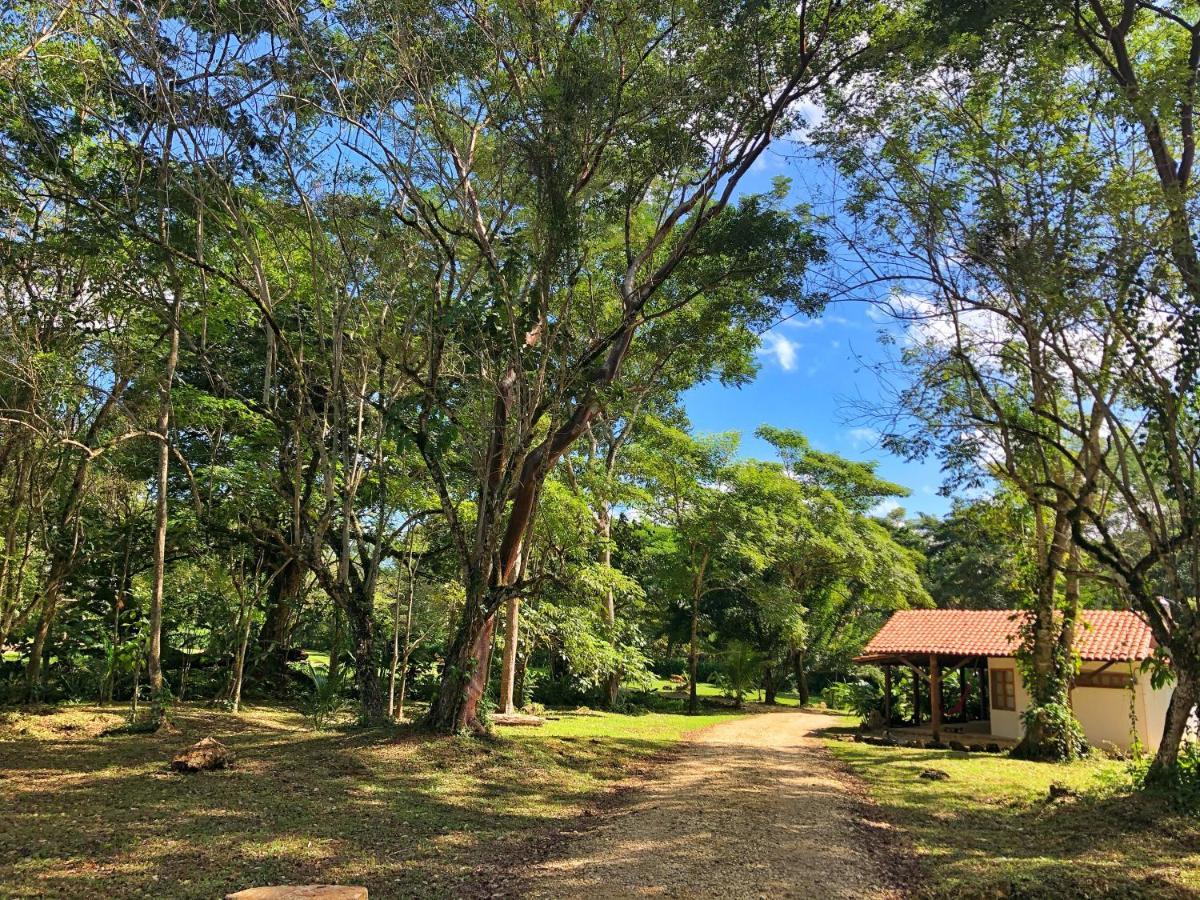Finca Vallescondido El Caobano Luaran gambar